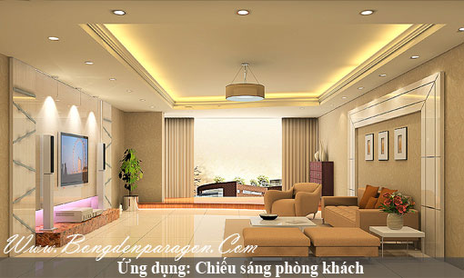 den downlight paragon