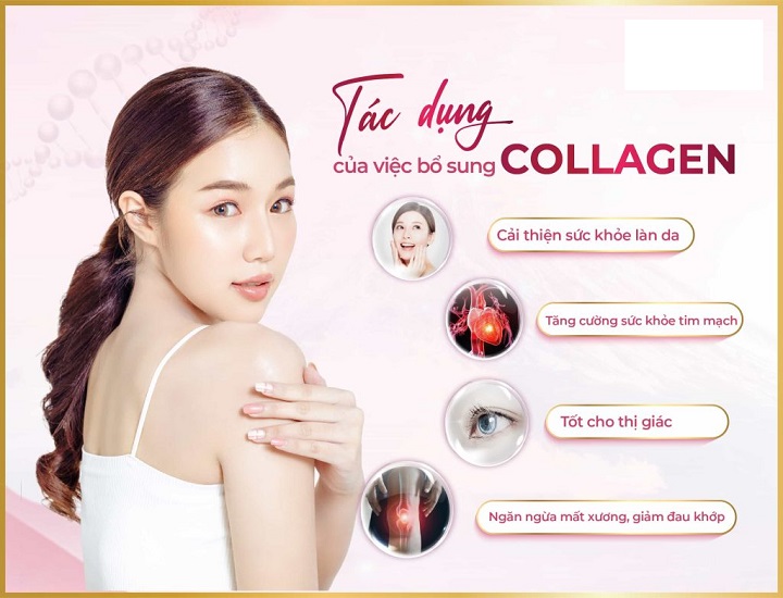 Nên uống sâm Angela hay collagen cho sức khỏe và sắc đẹp?