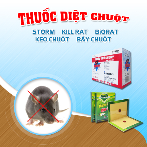 Sử dụng thuốc diệt chuột Biorat đánh tan mọi nỗi lo về chuột - Thư Giản